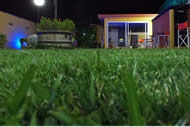 Parque verde